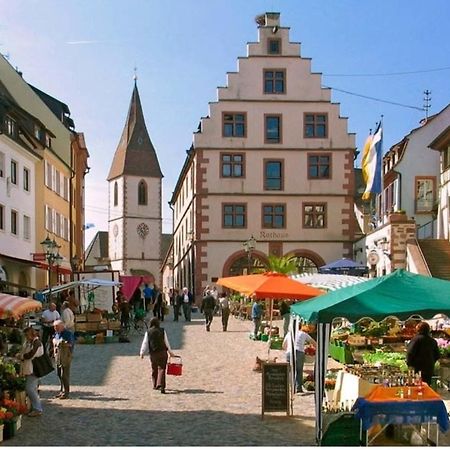 Alexa'S Appartment - Naehe Europa Park Endingen am Kaiserstuhl Exterior foto