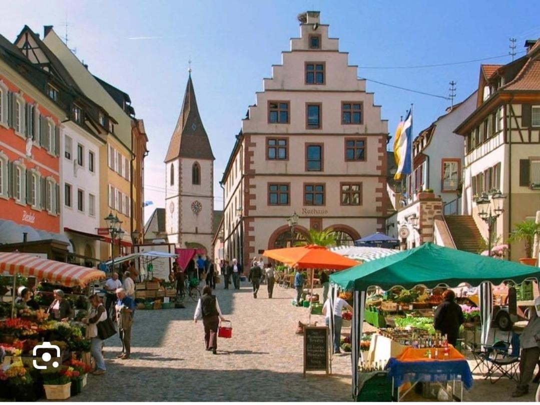 Alexa'S Appartment - Naehe Europa Park Endingen am Kaiserstuhl Exterior foto